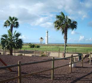 Le phare et la baleine à Jandia
