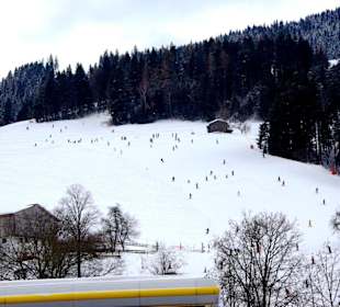 Scheffau/Skigebiet im Bild