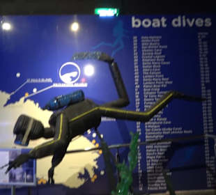 National Aquarium Malta