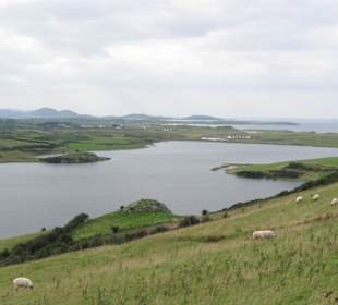 Fahrt zum Fanad Head
