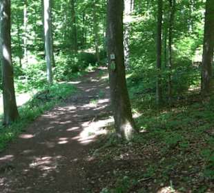 Premiumwanderweg "hochgelegen"