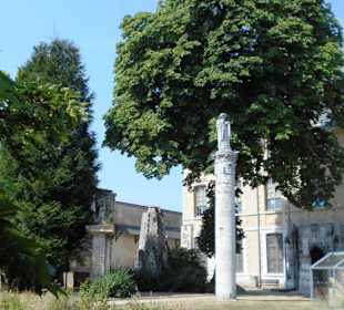 Im Garten des Naturkundemuseum Rouen