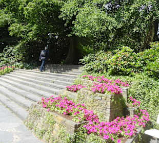 Parkanlage Planten un Blomen