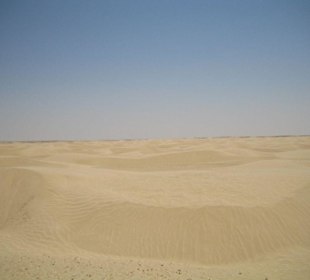 Mitten in der Sahara (bei Douz)