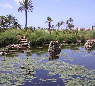 See im botanischen Garten