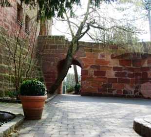 Burg-Vorbereich
