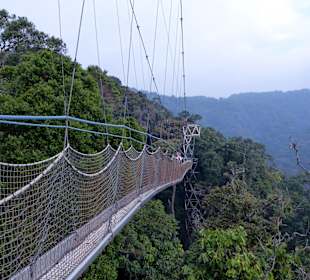 Nationalpak Nyungwe Wald 