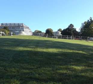 Botanischer Garten