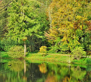 Rundgang durch den Kurpark Bad Iburg
