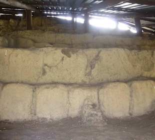 Eins der wenigen Ausgrabungen in der Anlage