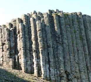 Die Riesen-Orgel aus Süden