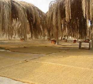 Mahmya- Liegeplätze