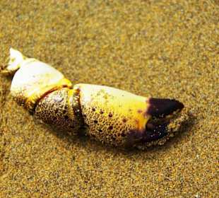 Ende September 2010 Inspirationen