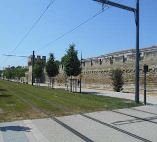 Stadtmauer Avignon