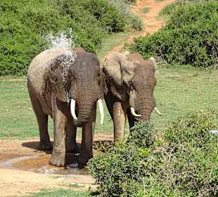 Kleine Dusche gefällig?