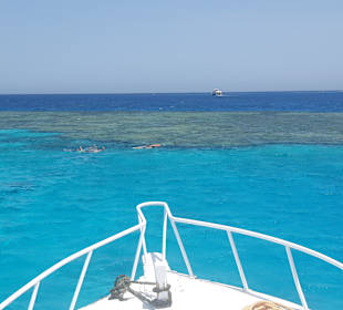 Schnorchel Tour