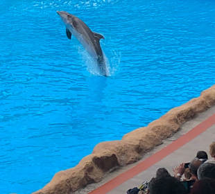Loro Parque