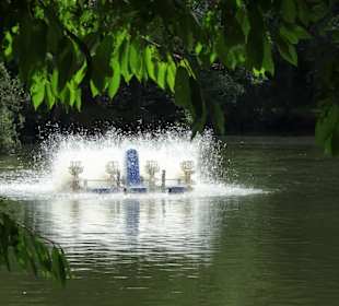 Rundgang durch den Julianenpark in Leer