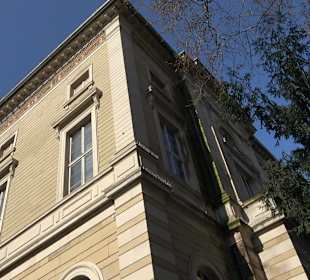 Staatliches Naturkunde Museum