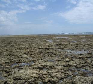 Ausflug Glasbodenboot Diani Beach