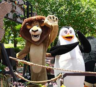 Universal Studios Orlando