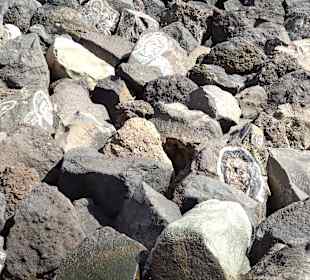 Wandern Puerto de la Cruz