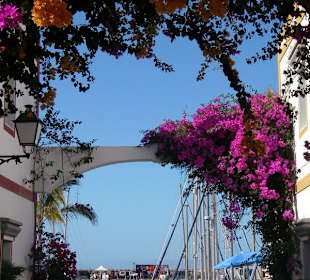 Wycieczka do Puerto de Mogan