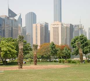 Unmittelbare Umgebung