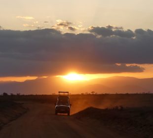Abendstimmung (Tsavo Ost)