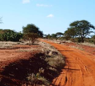 Wunderschöner rostfarbener Weg