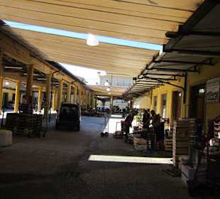 Montecatini Terme Markt
