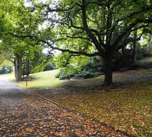 Stadtpark Bochum