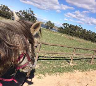 Strand Guardamar Segura