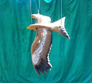 Neues im Kletterwald 09-2012