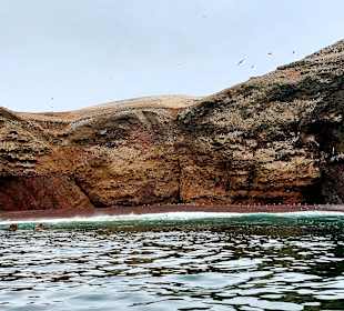 Ausflug Ballestas Inseln