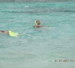 Schnorcheln, schnorcheln...