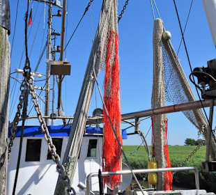 Eindrücke vom Kutterhafen Spieka-Neufeld