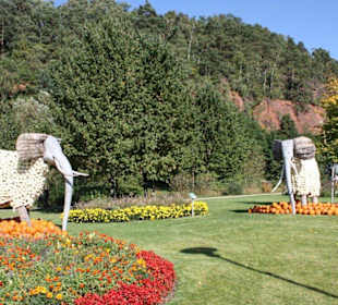 Kürbiselefanten
