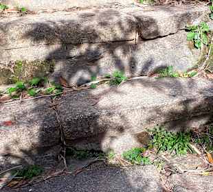 Elephant Mountain Xiangshan Hiking Trail