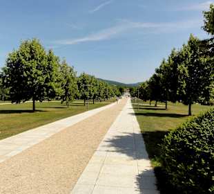 Zentralallee im Kurpark