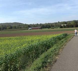 Wanderung zur Burgruine Liebenau