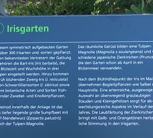Irisgarten