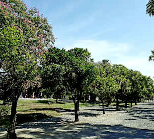 Colonia del Sacramento