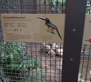 Zoologischer Garten