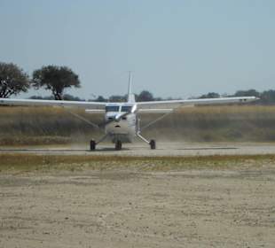 Bush Piloten