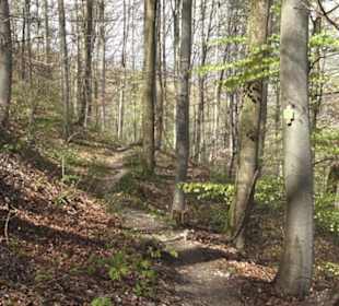Wanderweg Hochgehkämpft