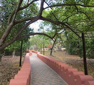 Schön gemachte Wege auf der Insel 