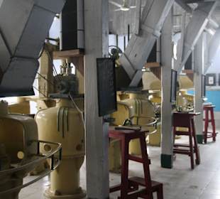 Teefabrik Puttabong Tea Estate