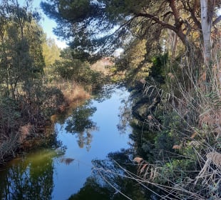 Stadtrundgang Platja de Muro / Playa de Muro