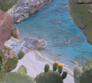 am Capo Vaticano